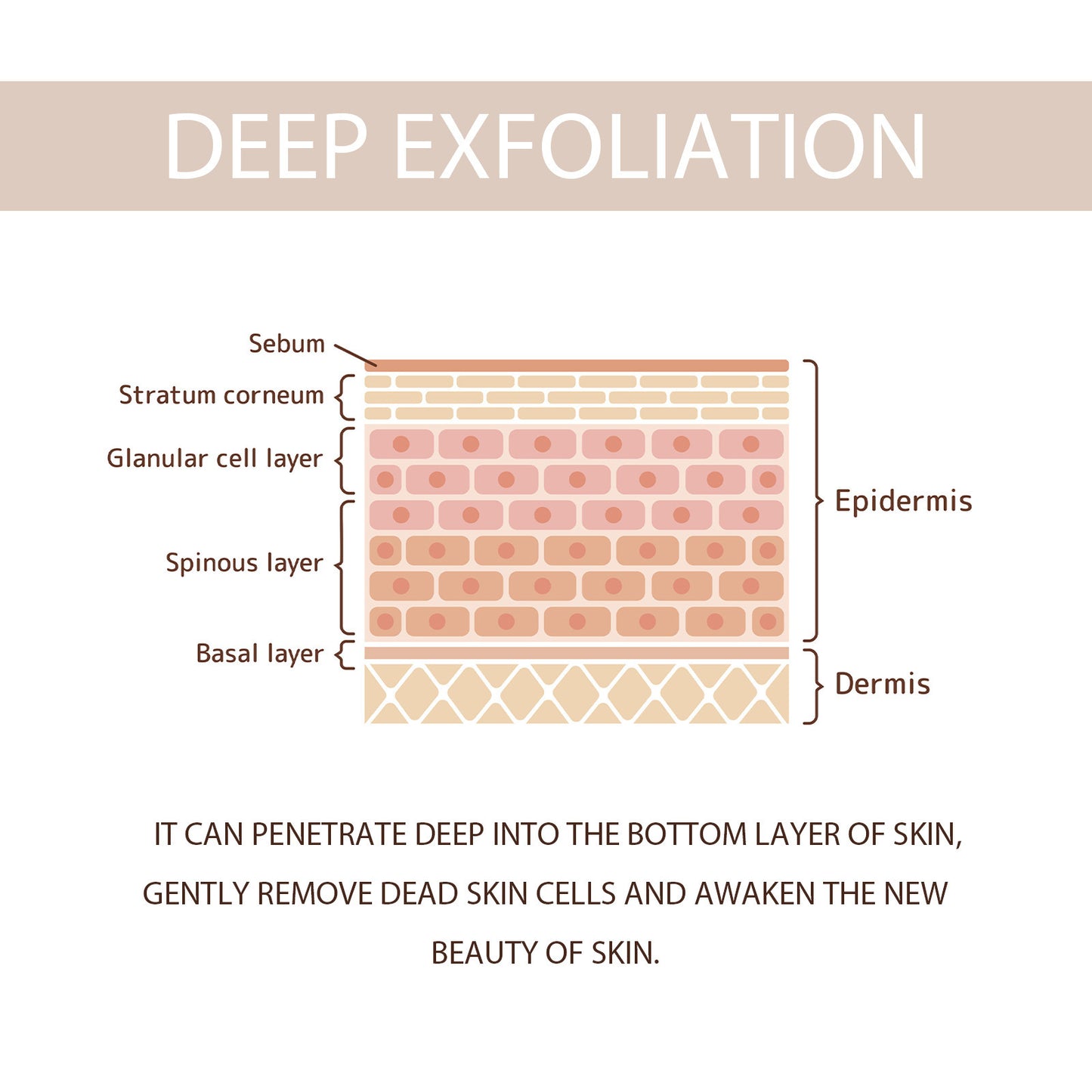 Gleame - Purifying Exfoliating Gel